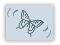 butterfly_icon.PNG